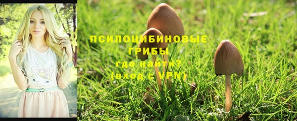 COCAINE Абдулино