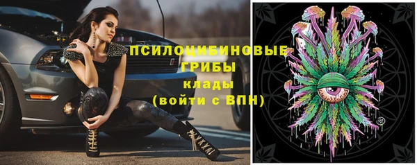 спиды Абаза